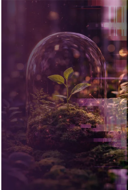 Solving Real-World Challenges Through Innovation