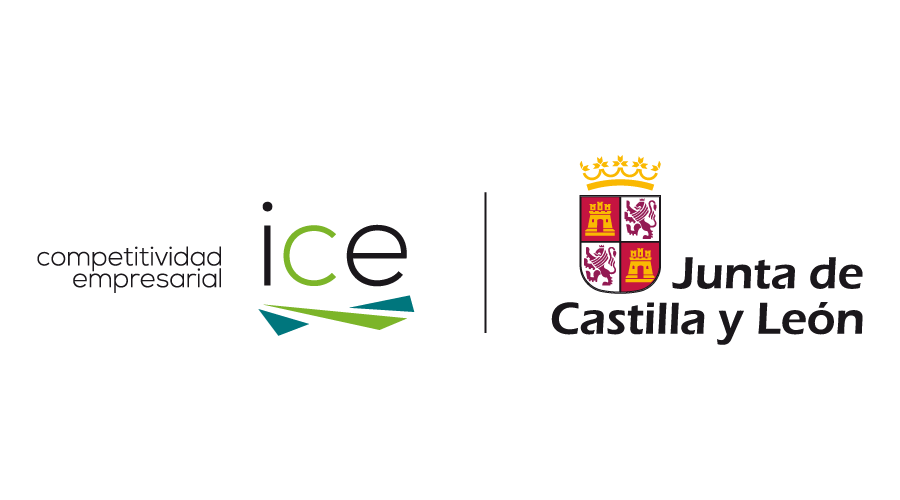 ICE Castilla y León