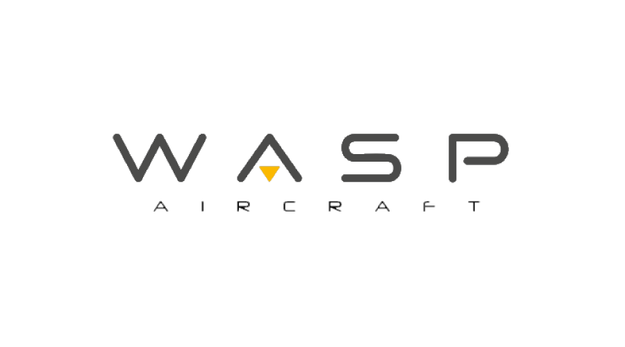 Wasp