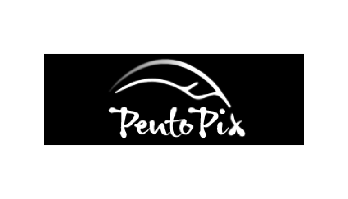 PentoPix
